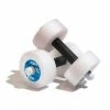 AquaJogger Aquafit Bells Aquatic Fitness 2 AquaJogger Aquafit Bells Aquatic Fitness