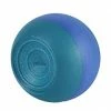 Training Aids Dolfin Training Kickball