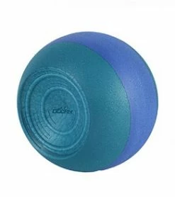 Training Aids Dolfin Training Kickball